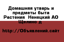 Домашняя утварь и предметы быта Растения. Ненецкий АО,Щелино д.